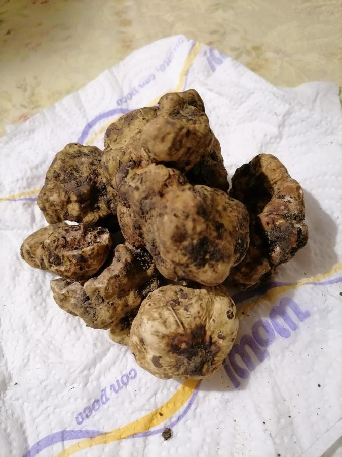 Ca' Del Tartufaio